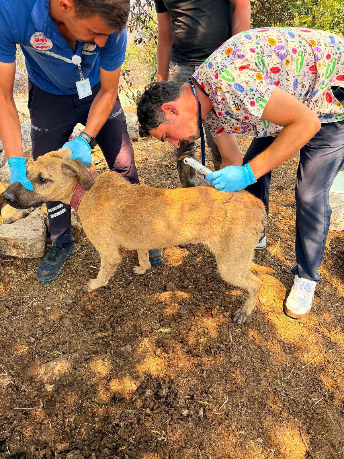 Muğla Büyükşehir Belediyesi, Seydikemer ve Fethiye’deki Yangınlara Tüm Birimleriyle Müdahale Ediyor 7